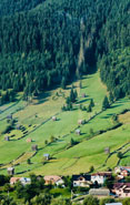 Farm stay moment